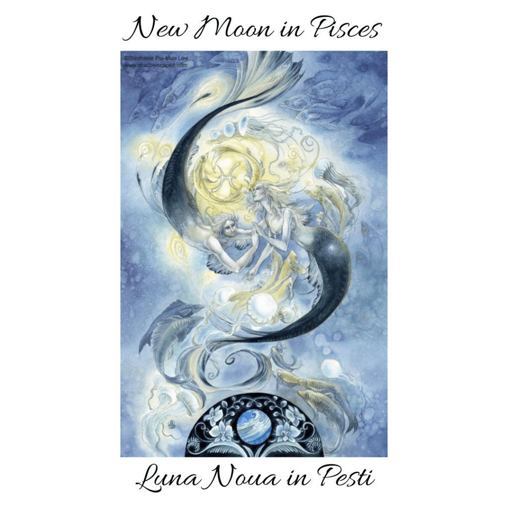 Lună Nouă în Pești
New Moon in Pisces